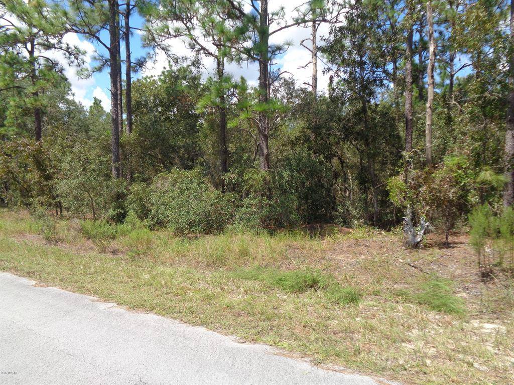 8 SW Edgewater BLVD, Dunnellon, FL 34431