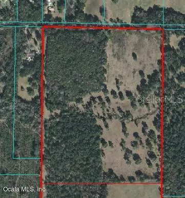 Micanopy, FL 32667,0 NW 210 ST