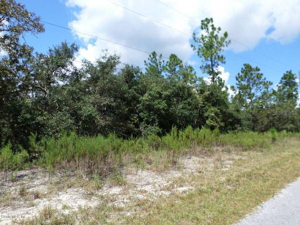 LOT 38 SW DEERPARK HTS, Dunnellon, FL 34431