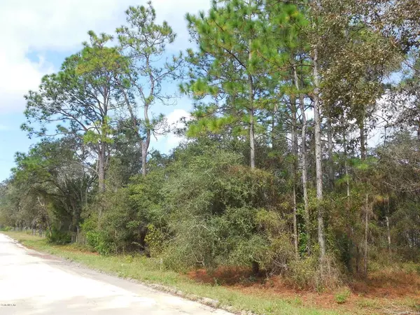 Morriston, FL 32668,TBD SE 21 PL