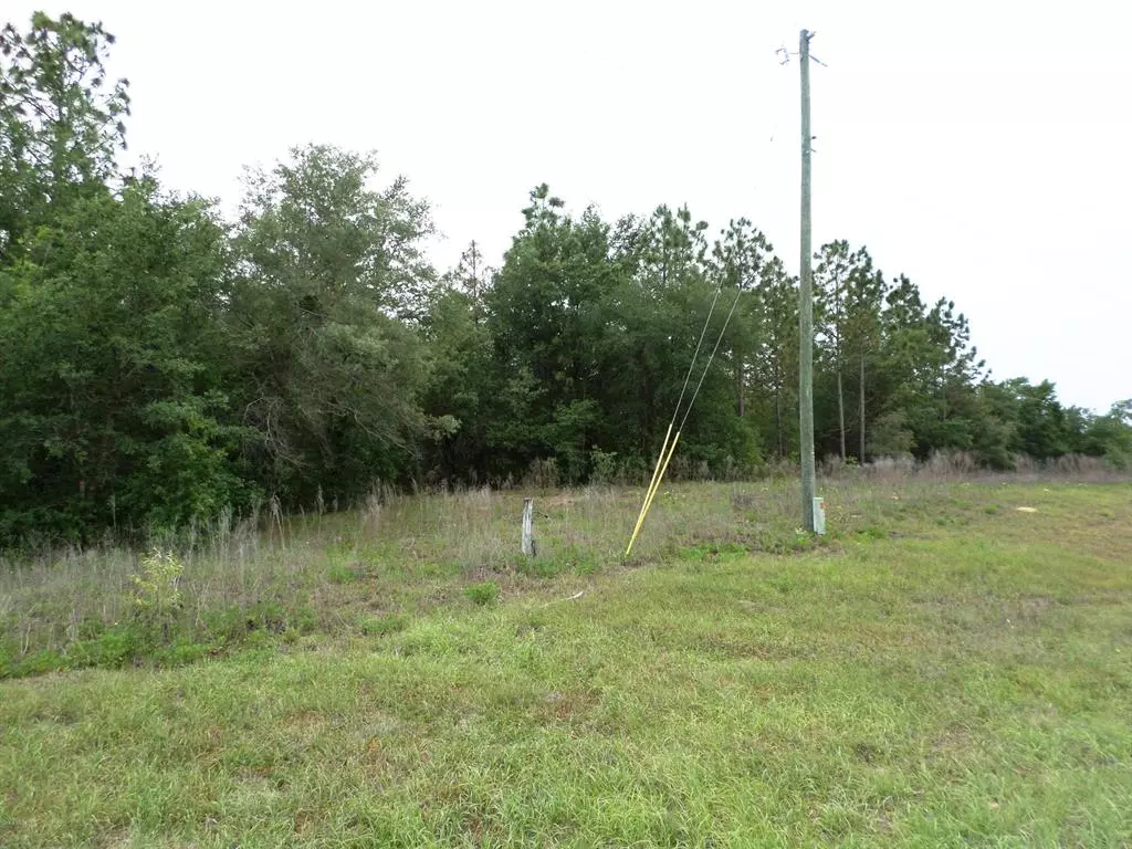 Morriston, FL 32668,LOT 62 SE 73 LN