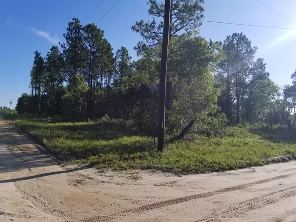 Williston, FL 32696,000 NE 12th ST