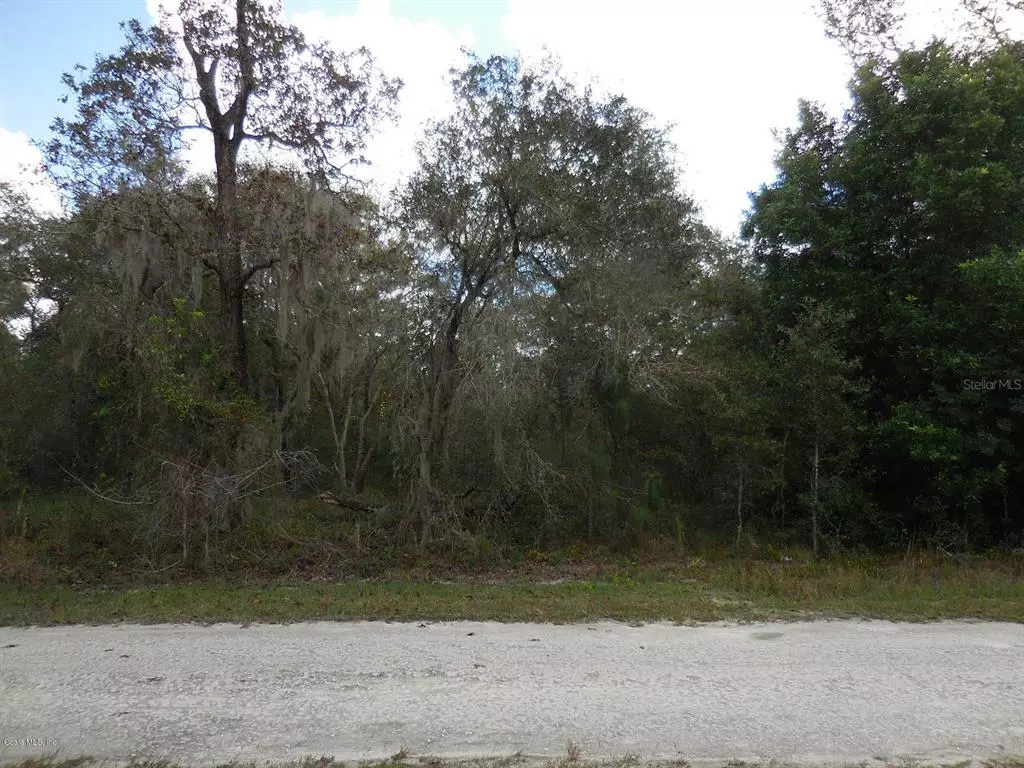 Morriston, FL 32668,2325 SE 138th TER