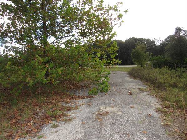 17090 N US Hwy 301, Citra, FL 32113