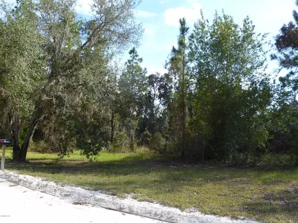 TBD NE 38th PL, Williston, FL 32696