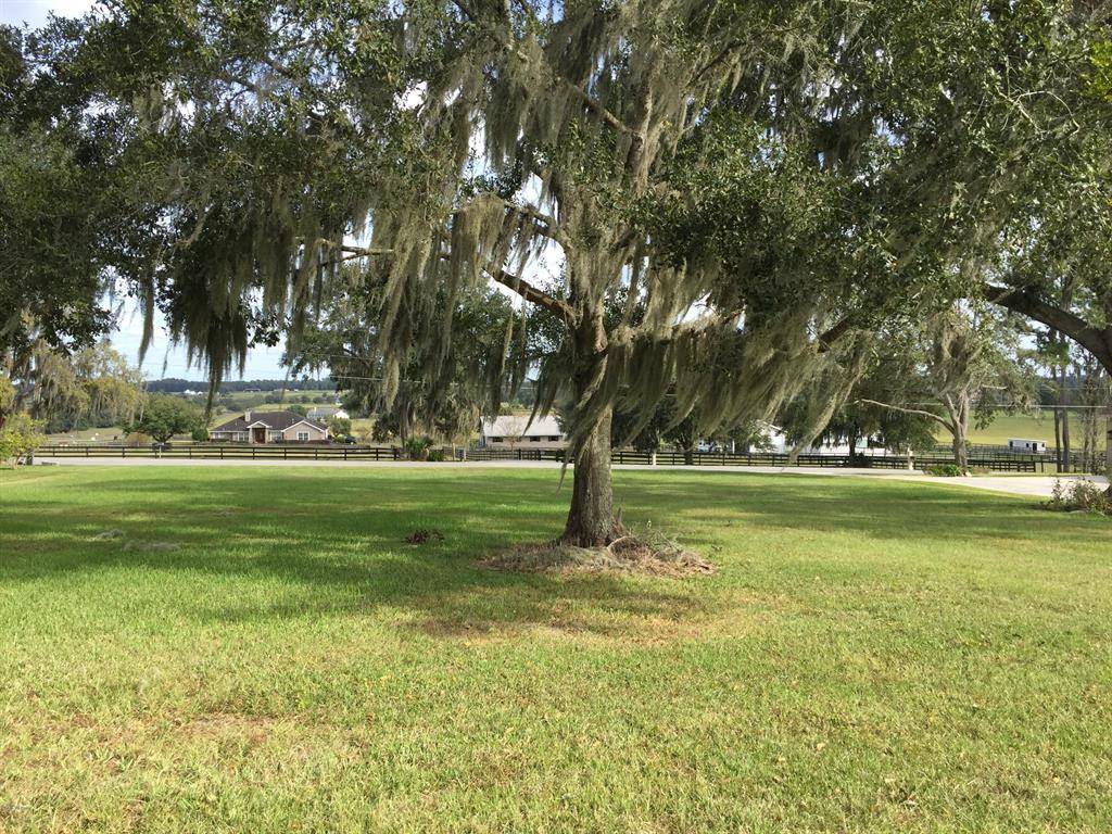 TBD NW 75 AVE, Ocala, FL 34482