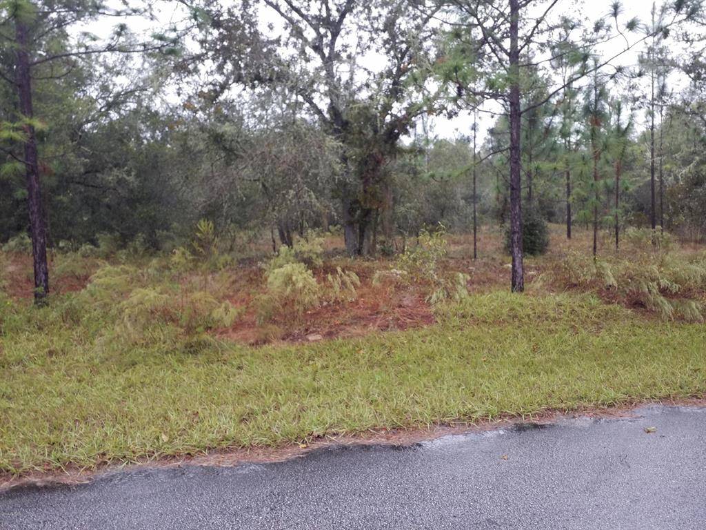 0 SW 204 AVE, Dunnellon, FL 34431