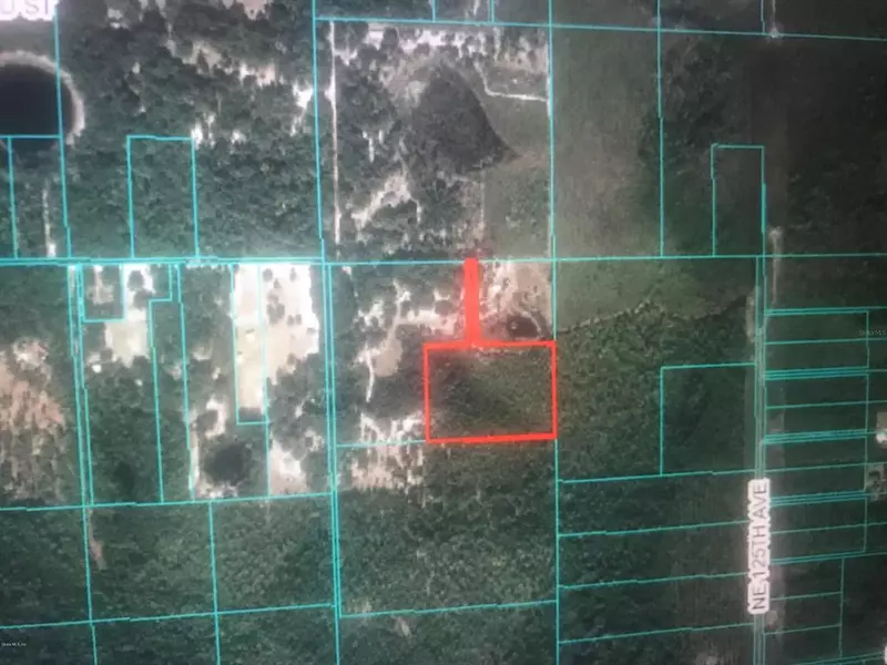 00 NE 220TH ST, Fort Mccoy, FL 32134