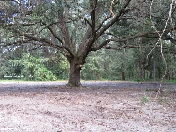 15201 E Hwy 25, Weirsdale, FL 32195