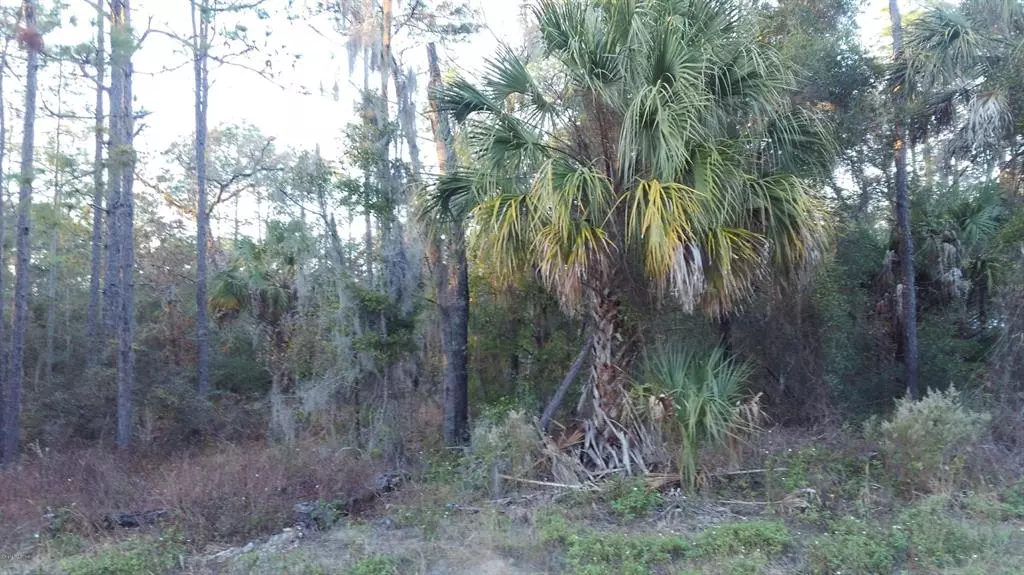 Crystal River, FL 34428,10269 W Dunnellon RD