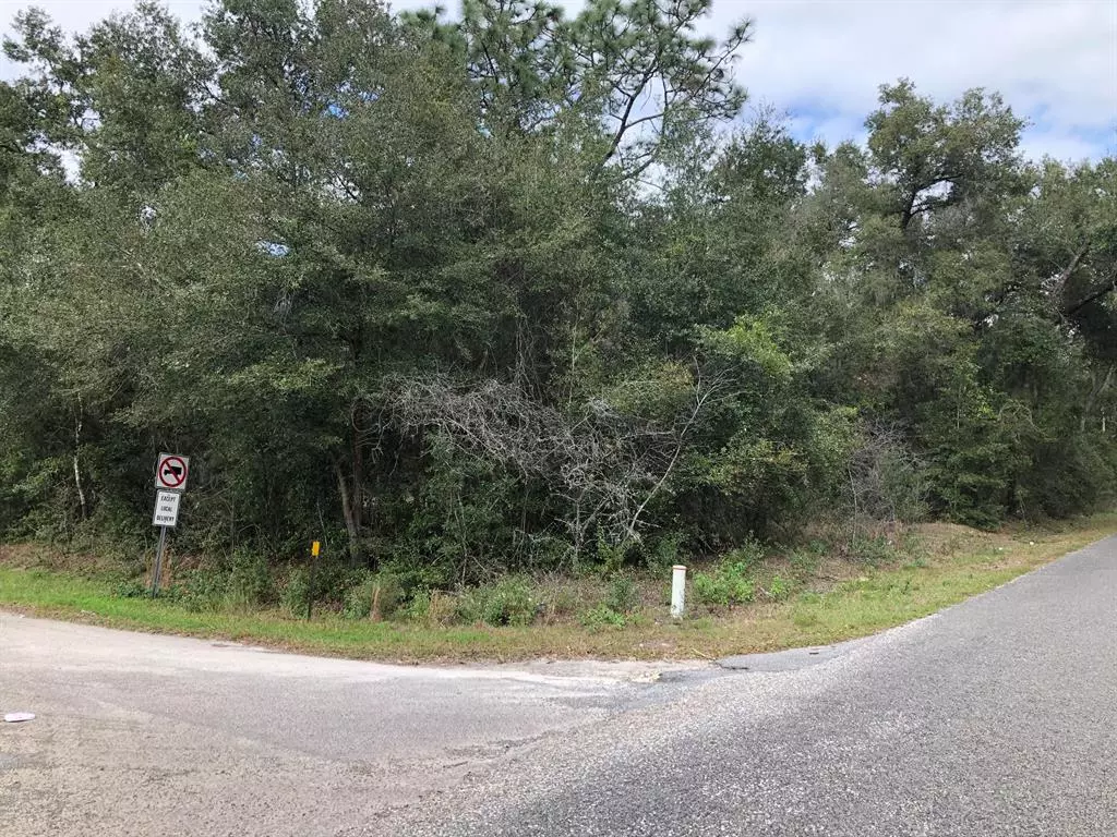 Summerfield, FL 34491,0 SE 95 AVE