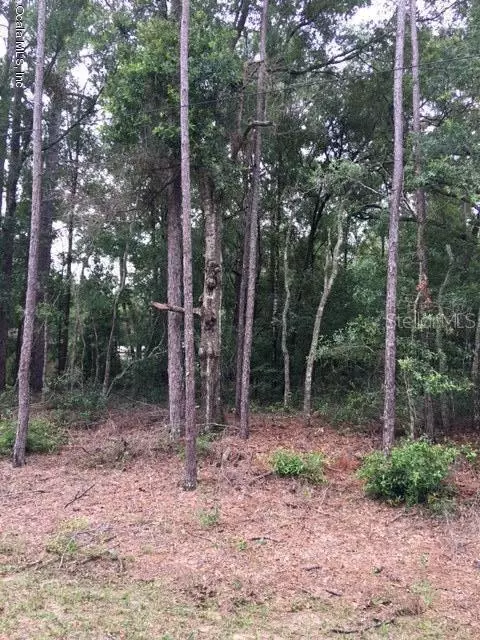 0 SW 108th ST, Dunnellon, FL 34432