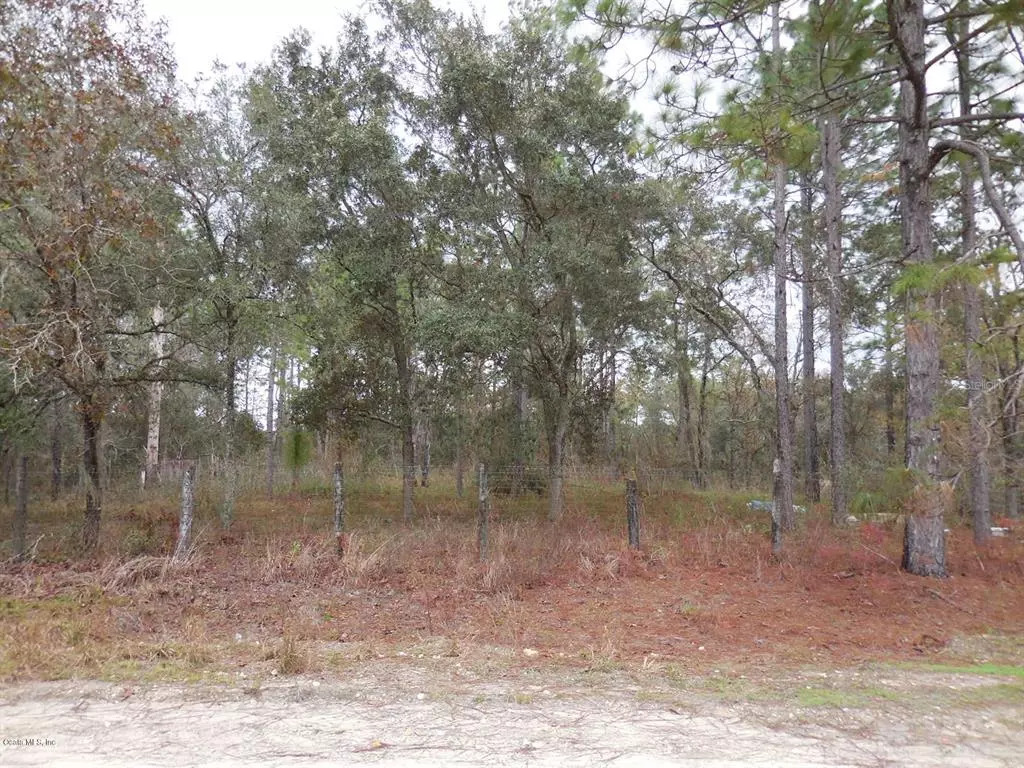 Morriston, FL 32668,tbd SE 67th PL