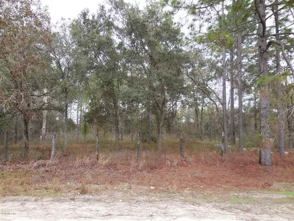 tbd SE 67th PL, Morriston, FL 32668
