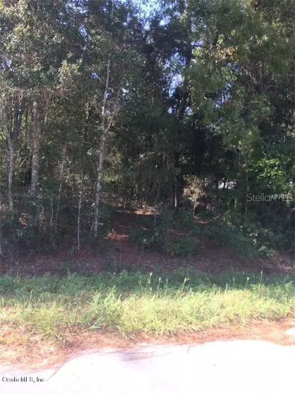 Summerfield, FL 34491,00 SE 162 ST