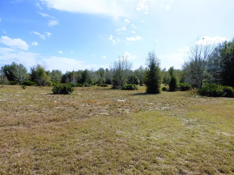 7096 W Silverleaf LN, Dunnellon, FL 34433