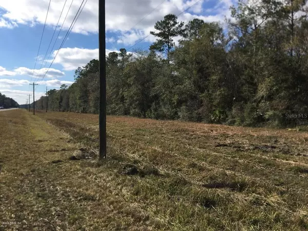 Otter Creek, FL 32683,18 ac SW STATE RD 24