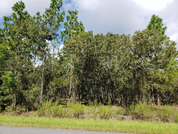 Dunnellon, FL 34431,Lot 12 SW Persimmon LN