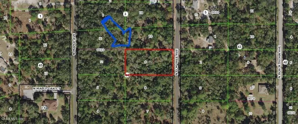 Crystal River, FL 34428,8470 N Elmtree AVE