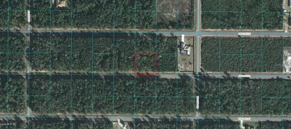 Ocala, FL 34476,4167 SW 113 PL