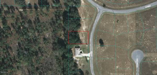 Lot 19 Maple Ln, Ocklawaha, FL 32179