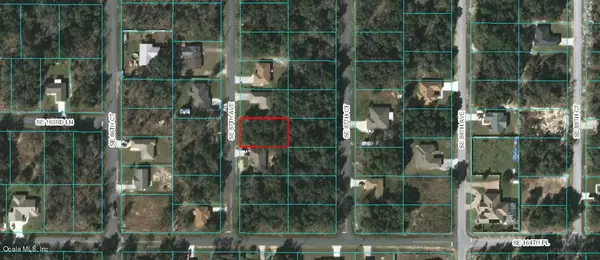 Summerfield, FL 34491,0 SE 87 TH AVE