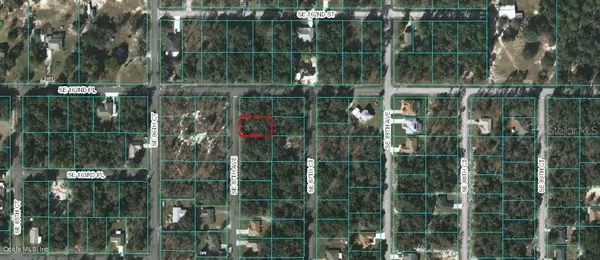 Summerfield, FL 34491,0 SE 87 th AVE