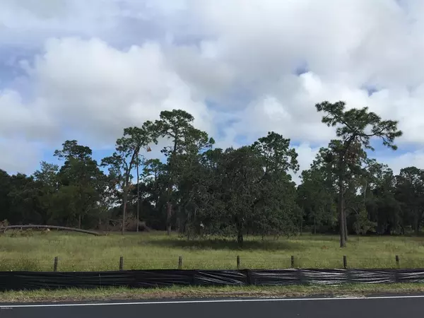 Summerfield, FL 34491,se SE Highway 42