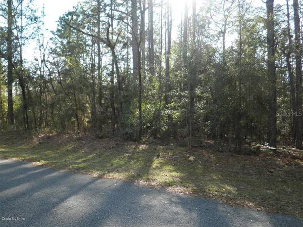 LOT 8 SW 73RD LOOP, Dunnellon, FL 34432