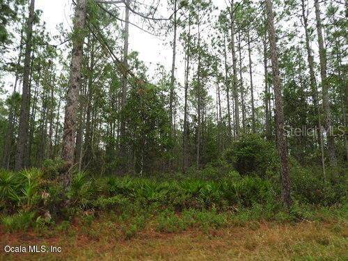 4393 Mark Allan RD, Keystone Heights, FL 32656