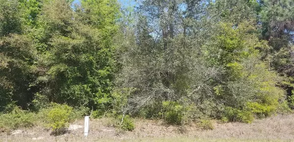 Ocala, FL 34480,TBD Juniper TRAK