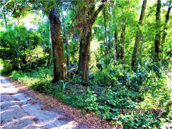 LOT4 NW 125th PL, Citra, FL 32113