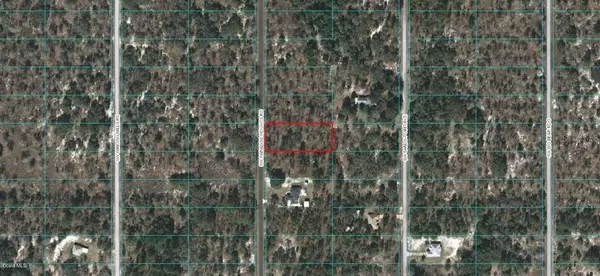 Dunnellon, FL 34431,00 SW PARADISE HEIGHT RD