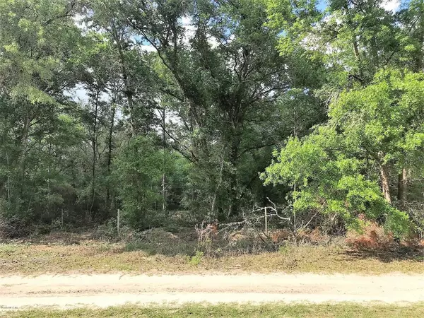 T/B/D NE 83RD LN, Bronson, FL 32621