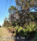 Dunnellon, FL 34432,000 SW 155TH ST