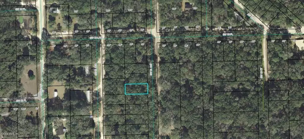 00 SW 81 AVE, Trenton, FL 32693