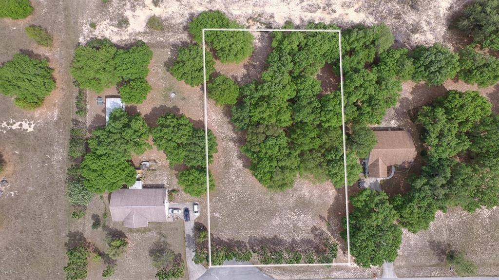 TBD Sheas CV, Lady Lake, FL 32159