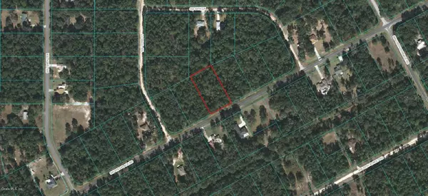 Ocala, FL 34481,0 SW 61 Place RD