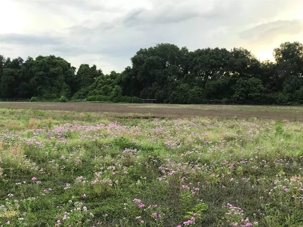 Weirsdale, FL 32195,0 SE 170TH ST