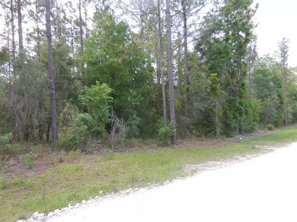 Archer, FL 32618,tbd NE 91st CT