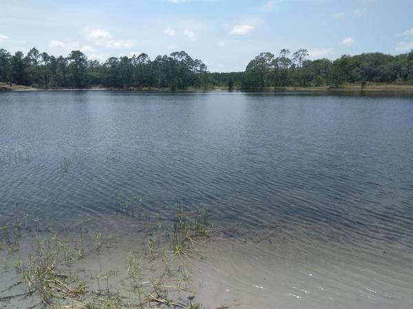 TBD Fisher PASS, Ocklawaha, FL 32179