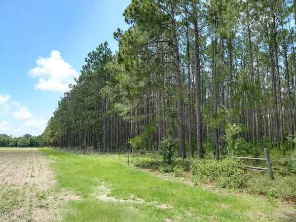 Inglis, FL 34449,40ac SE 157 PL