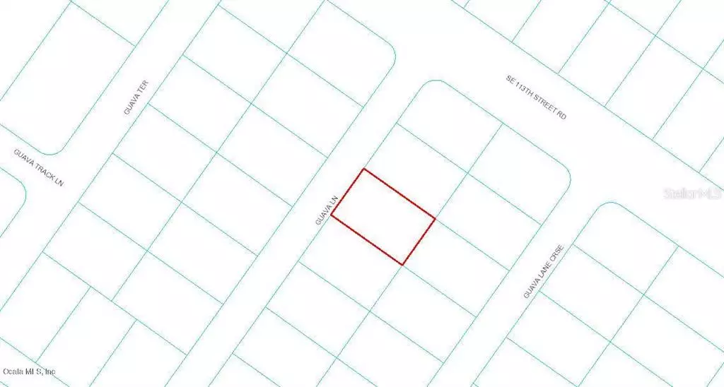 0 Guava LN, Ocklawaha, FL 32179