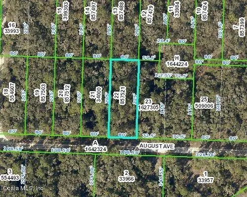 33499 August AVE, Webster, FL 33597