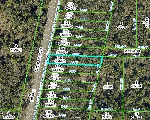 00 TREIMAN BLVD, Webster, FL 33597