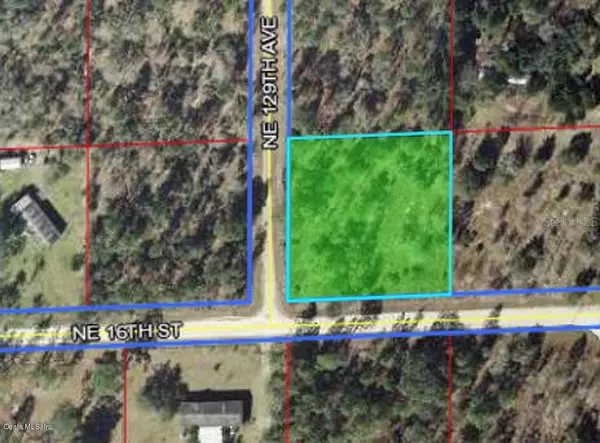 12931 NE 16th ST, Williston, FL 32696