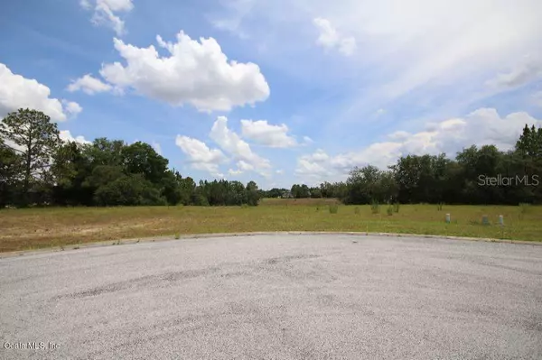Dunnellon, FL 34432,TBD SW 66TH PL