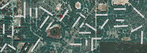 Ocklawaha, FL 32179,0 GUAVA TERRACE PL