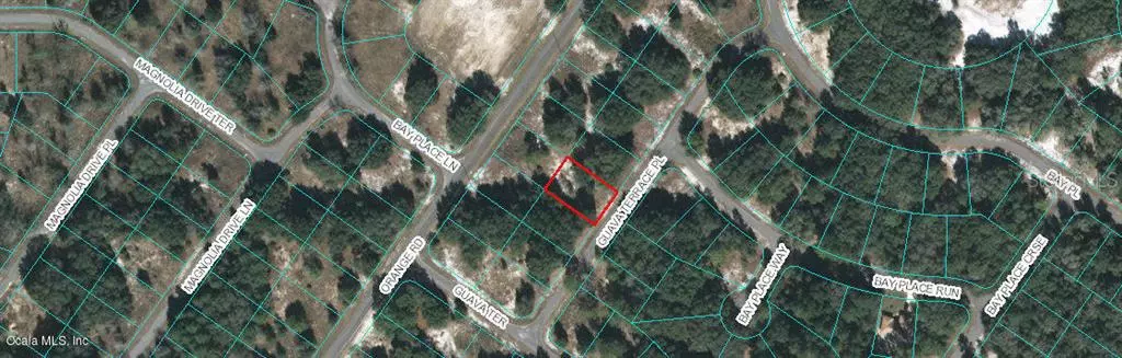 0 GUAVA TERRACE PL, Ocklawaha, FL 32179