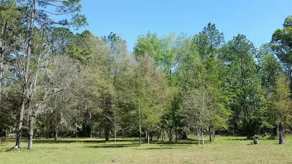 7574 NE 147 LN, Citra, FL 32113